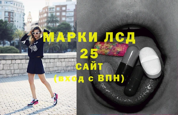 крисы Мегион