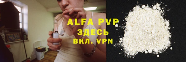 крисы Мегион
