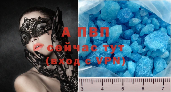 крисы Мегион