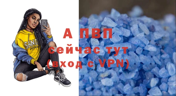 крисы Мегион