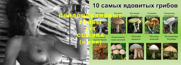 соль ск Остров