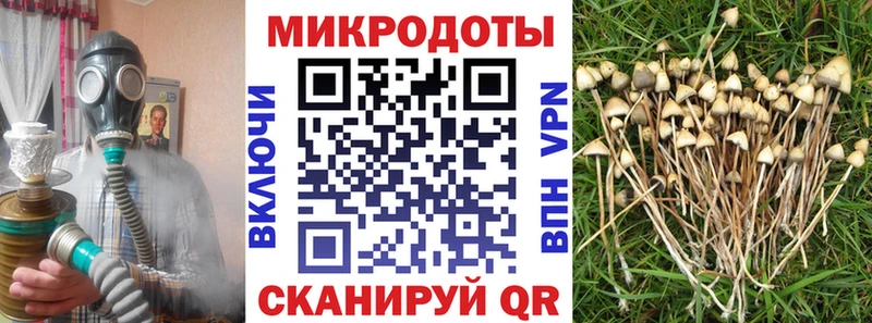 Галлюциногенные грибы GOLDEN TEACHER  KRAKEN рабочий сайт  Юхнов 